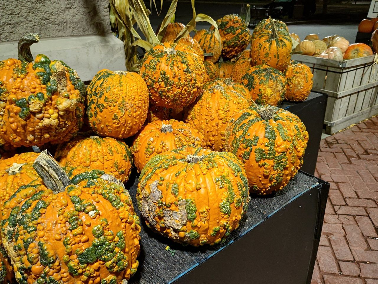 Urface Duo 2camera Sample Night Gourds