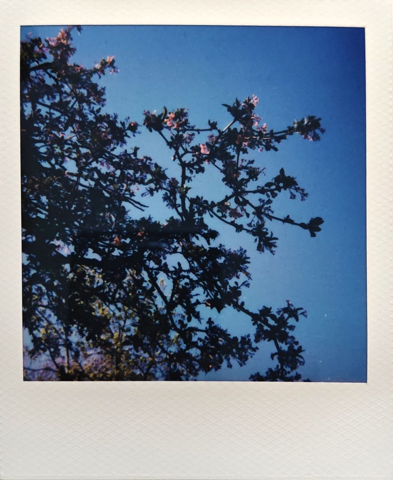 A selection of images captured on the Polaroid Flip instant camera by T3's Sam Cross