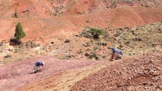 Two researchers digging for fossils in Wyoming