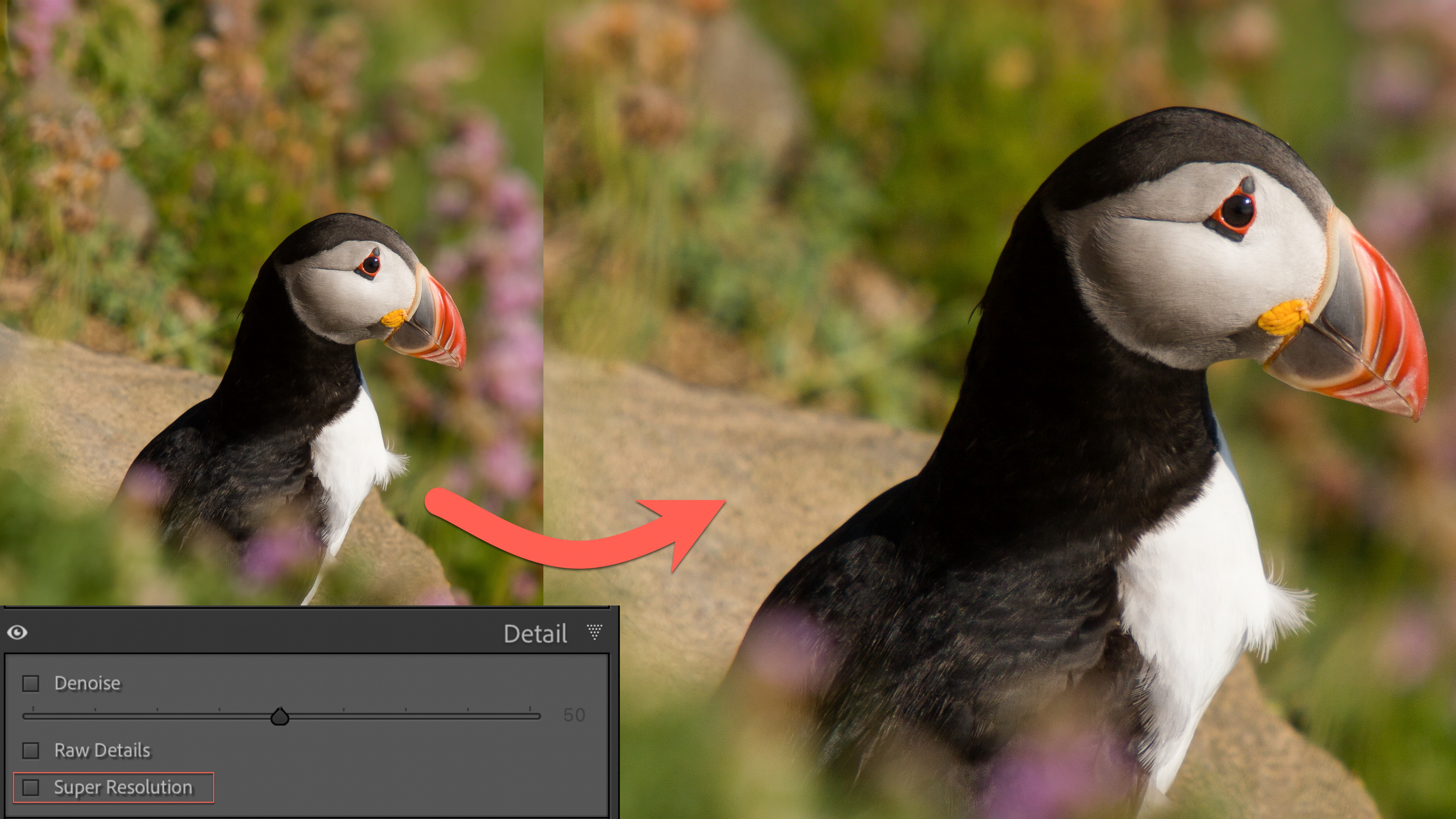 Sean McCormack opinion piece header image