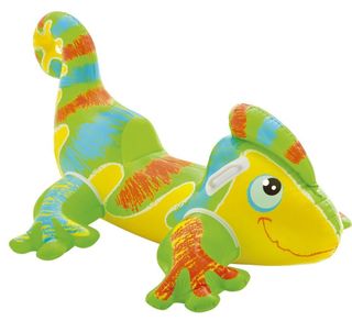 yellow green coloured smiling gecko with white background