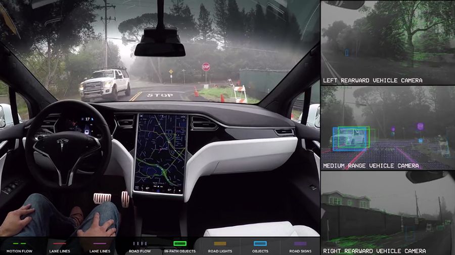 Tesla self-driving view