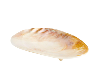 Cyan Design Small Abalone Tray