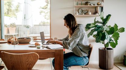 Woman sitting at desk looking at laptop