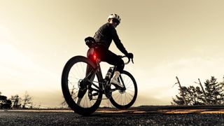 Cyclist at twilight