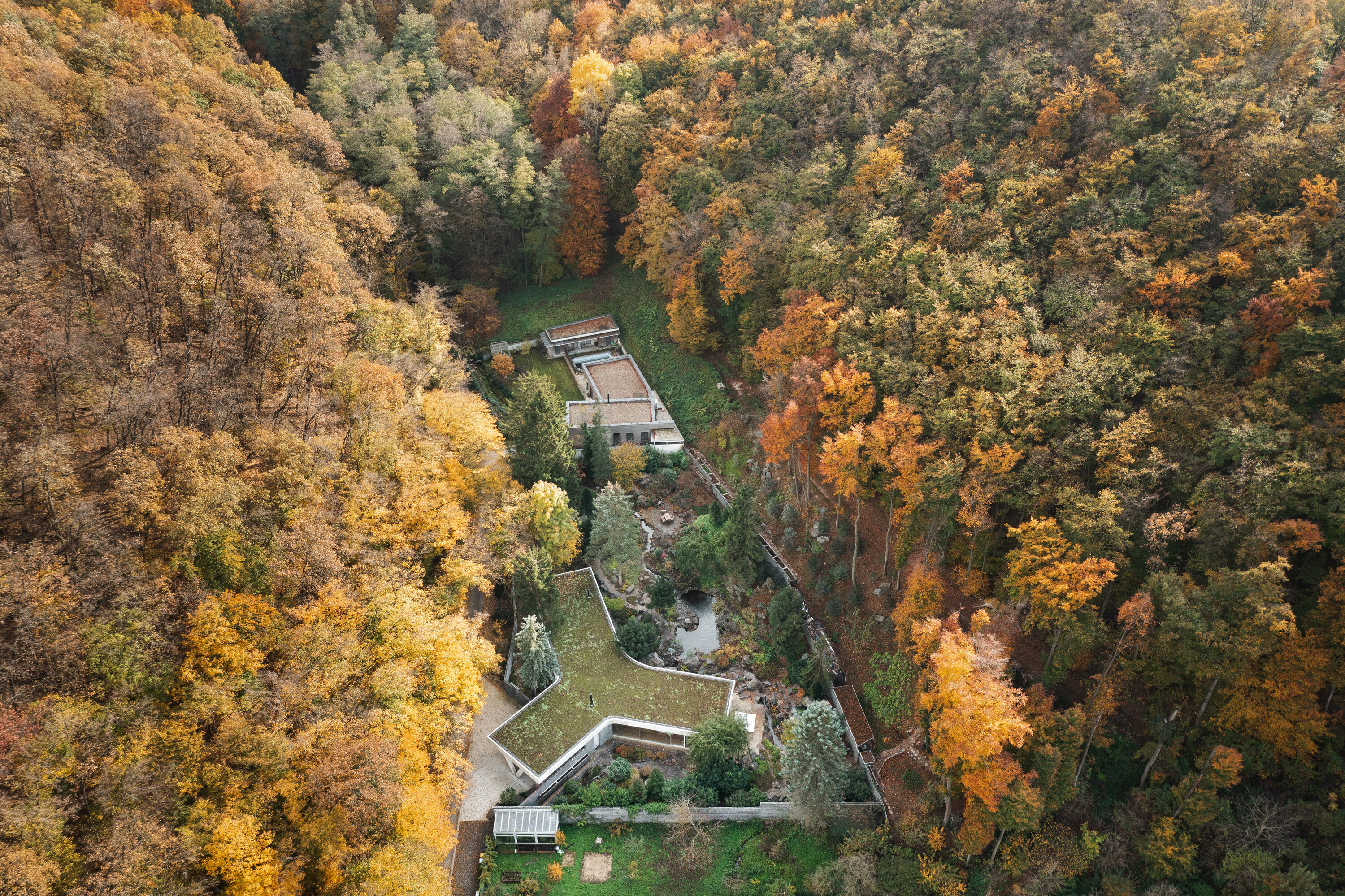 The Banánka family house in context in its wooded site