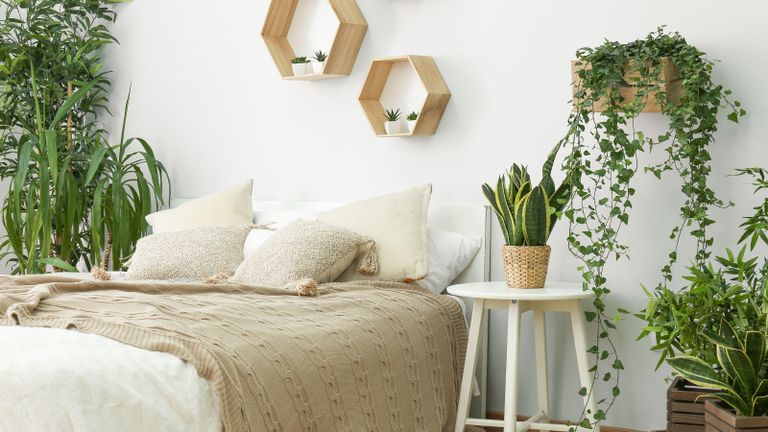A range of the best plants for bedrooms in a Scandi-style bedroom space