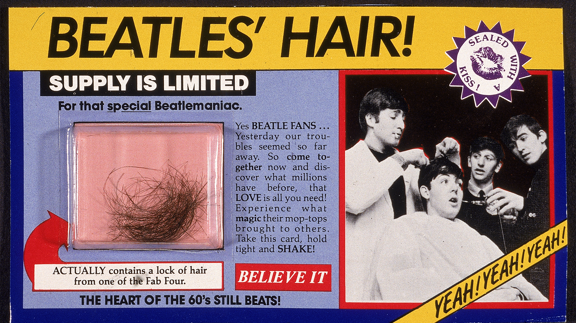 Package containing a lock of novelty hair, purportedly from the head of one of the four members of the British pop group the Beatles, 1960s.