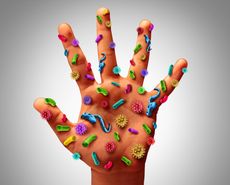 An artist's image of germs on the human hand.
