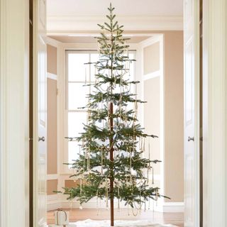 christmas tree with glass door and cream wall