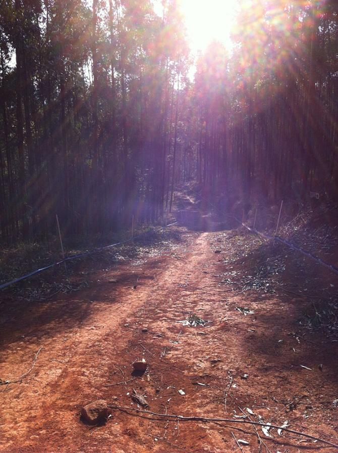 The African sun beats down on this uphill section of the cross country course. Heat could play a role in the mid-day races.