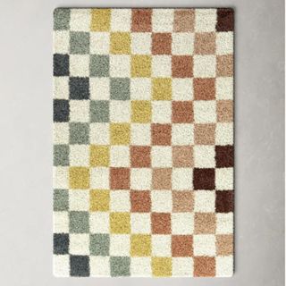 Florence-Graham Checkered Rainbow Colored Shag Area Rug