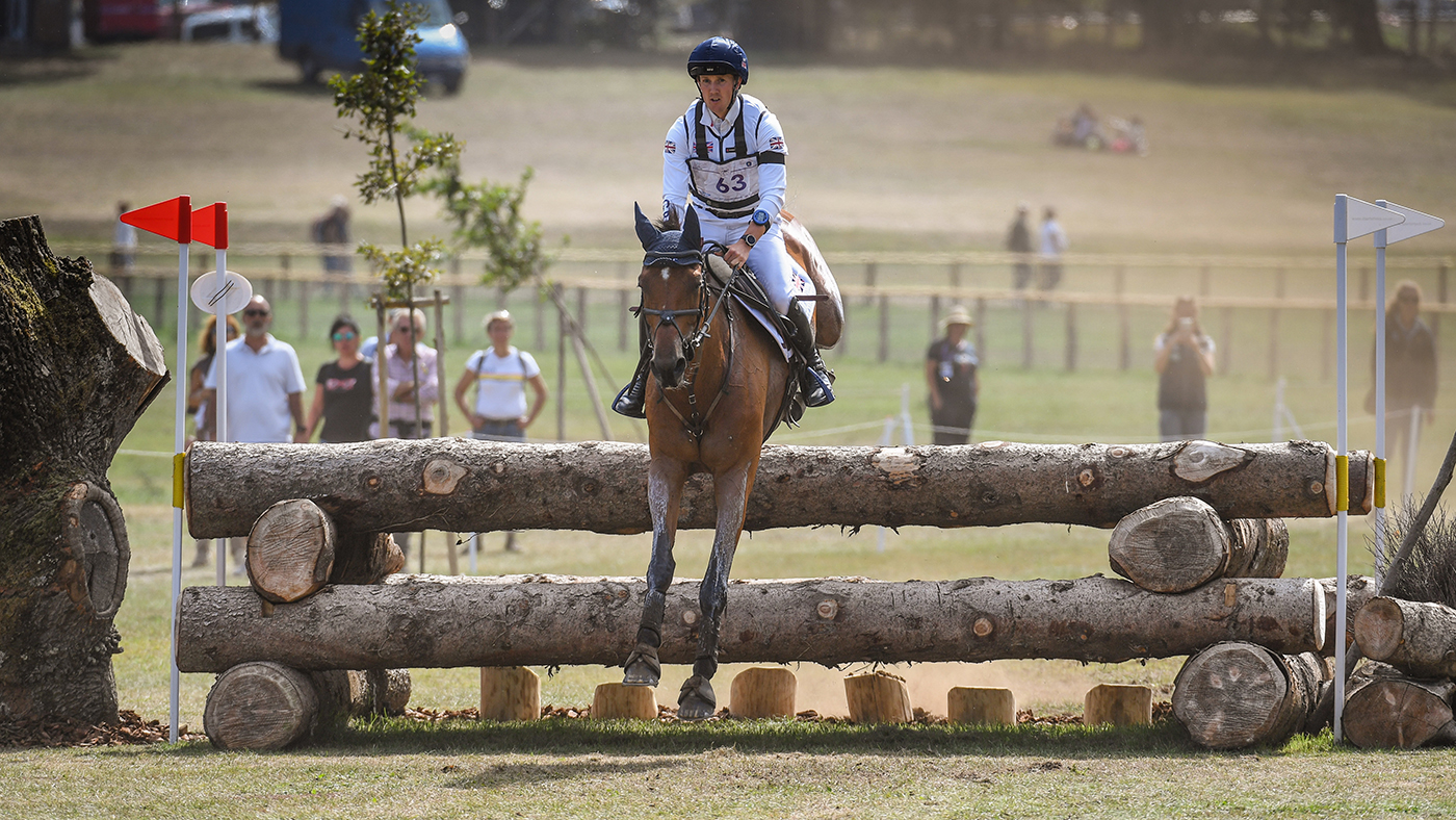 London Marathon: Olympic medallist Tom McEwen is among the elite riders and high profile names in the horse world taking on the London Marathon