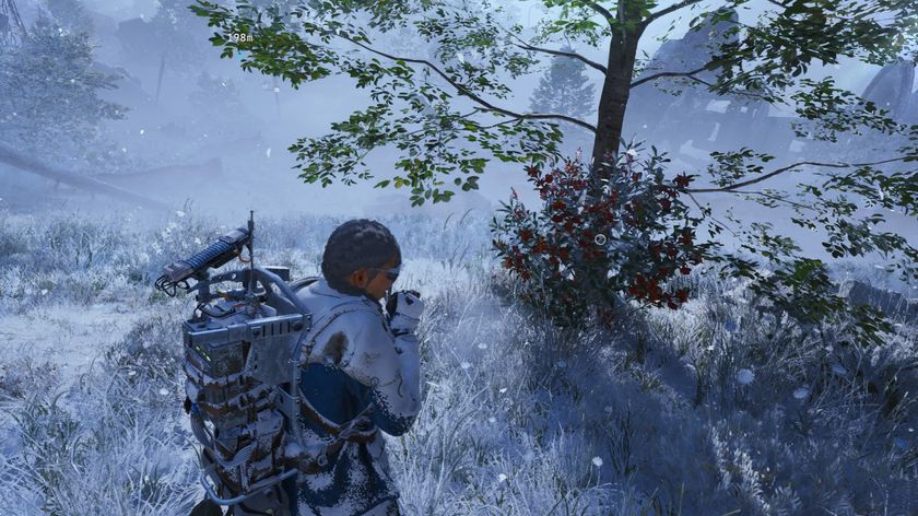 Arc Raiders Candleberries