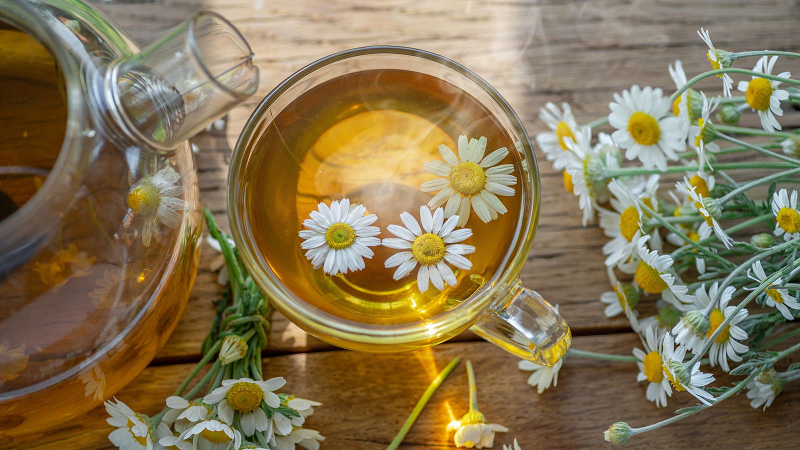 How to Grow Chamomile for a Home Herbal Medicine Garden: A Beginner’s Guide
