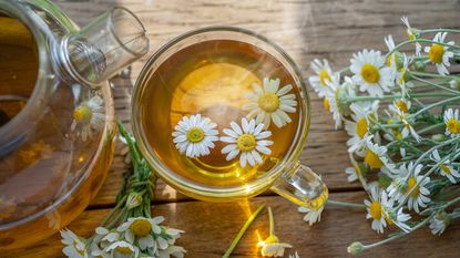 Herbal chamomile tea and chamomile flowers near teapot and tea glass