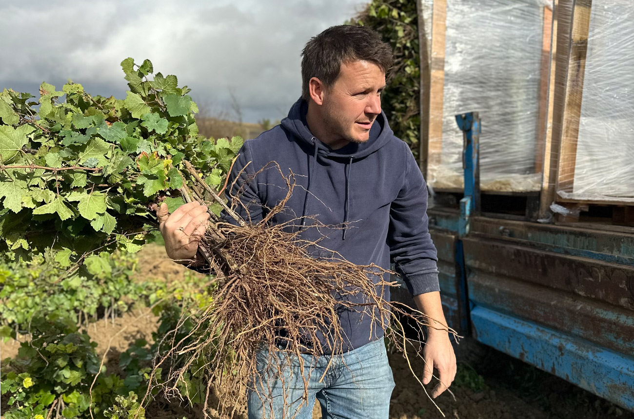 Morgann Trebutien holding a vine