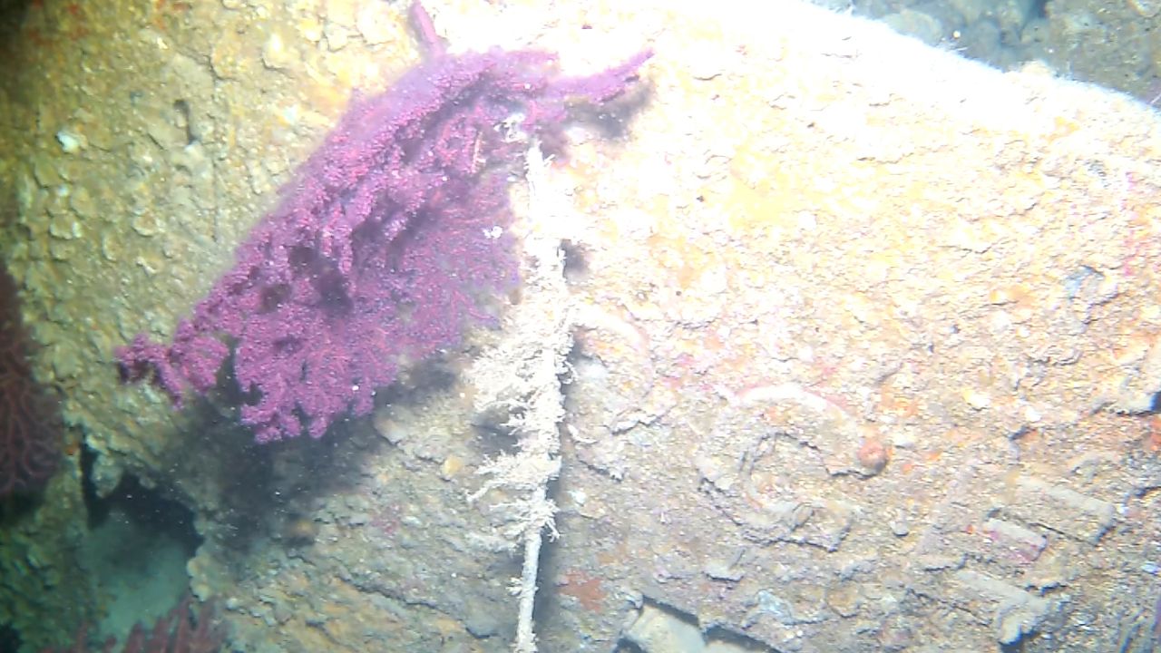 The conning tower of the wrecked submarine shows its name &ndash; URGE &ndash; although the embossed letters are partly obscured by decades of corrosion, marine growth and live gorgonian coral.