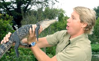 what to watch after tiger king Steve Irwin, on tour promoting The Crocodile Hunter