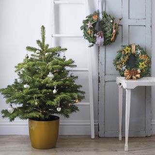 christmas tree and wreath