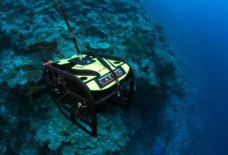 ROV at Great Barrier Reef