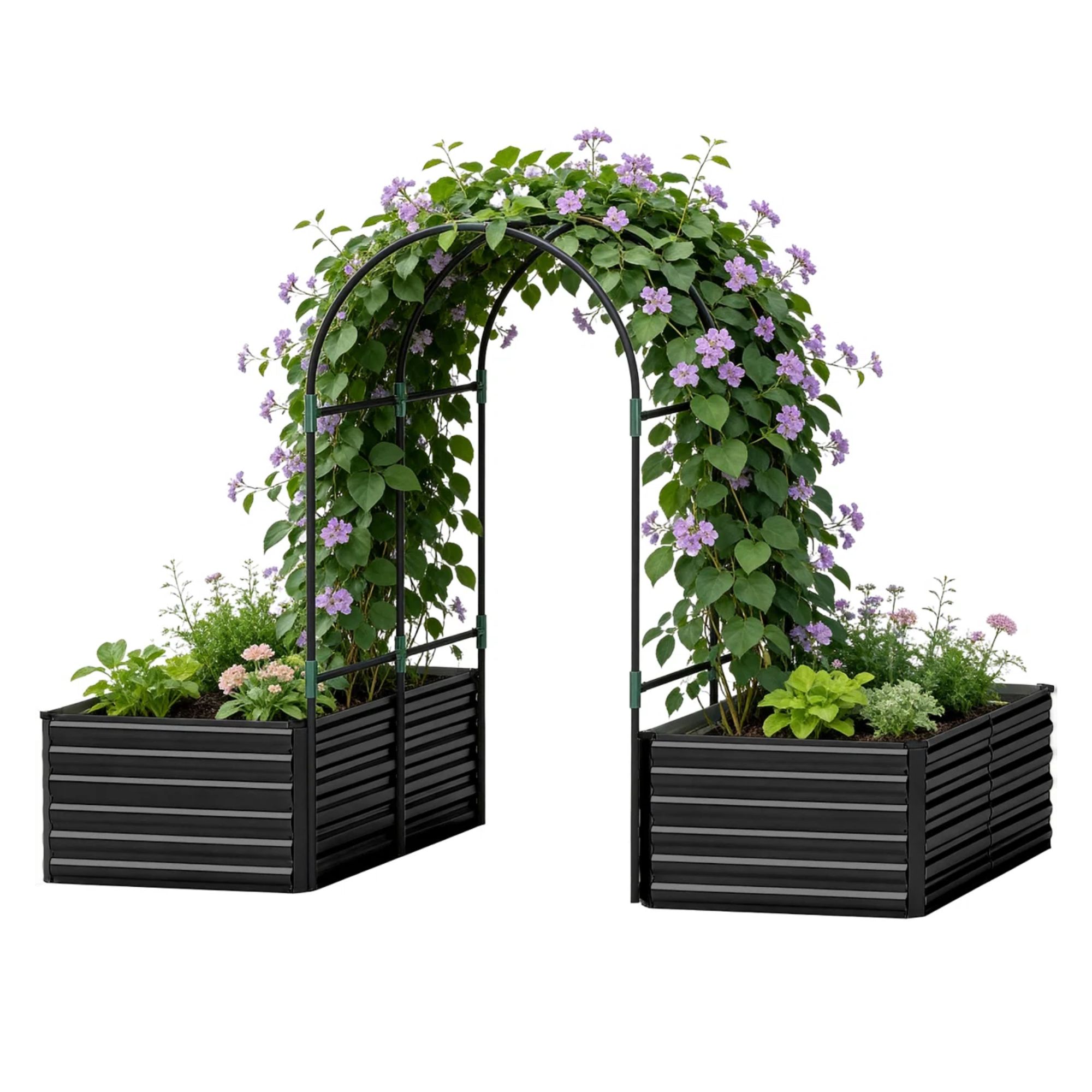 Ribbed black garden beds with a double arch trellis