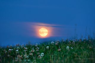 The full moon on June 20, 2016, as seen from southern Pennsylvania by photographer Jeff Berkes.