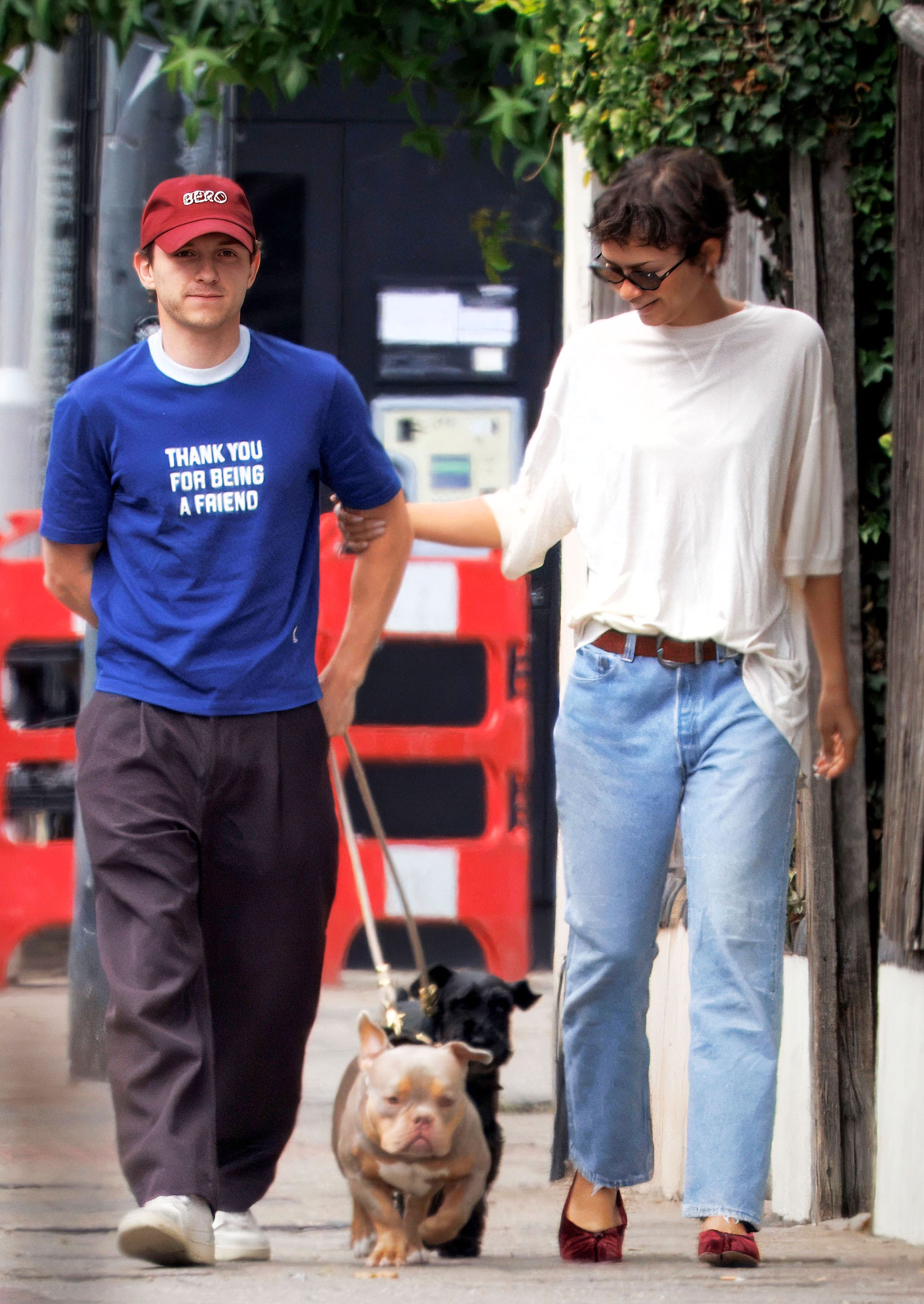 Zendaya and Tom Holland photographed wearing matching wedding rings whilst walking dogs in London, UK.