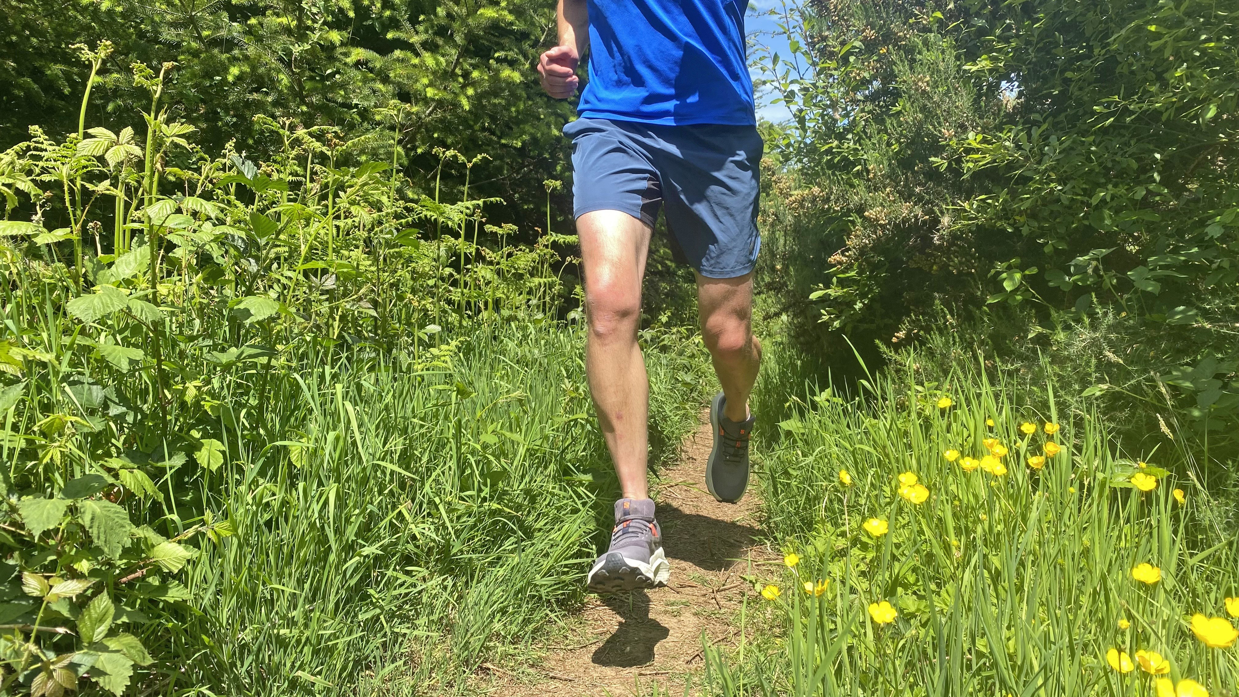 Runner wearing the Salomon Ultra Glide 3s on a wildflower-lined trail