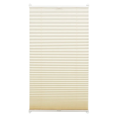 cream pleated conservatory blind from Wayfair