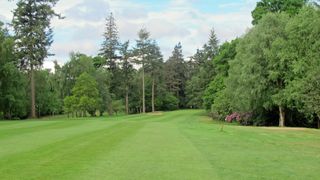 Puttenham Golf Club - Hole 11