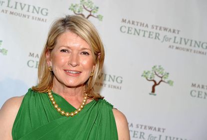 Martha Stewart thinks her new drone is 'lots of fun'