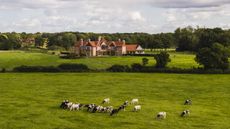 A fine house in a fine setting.