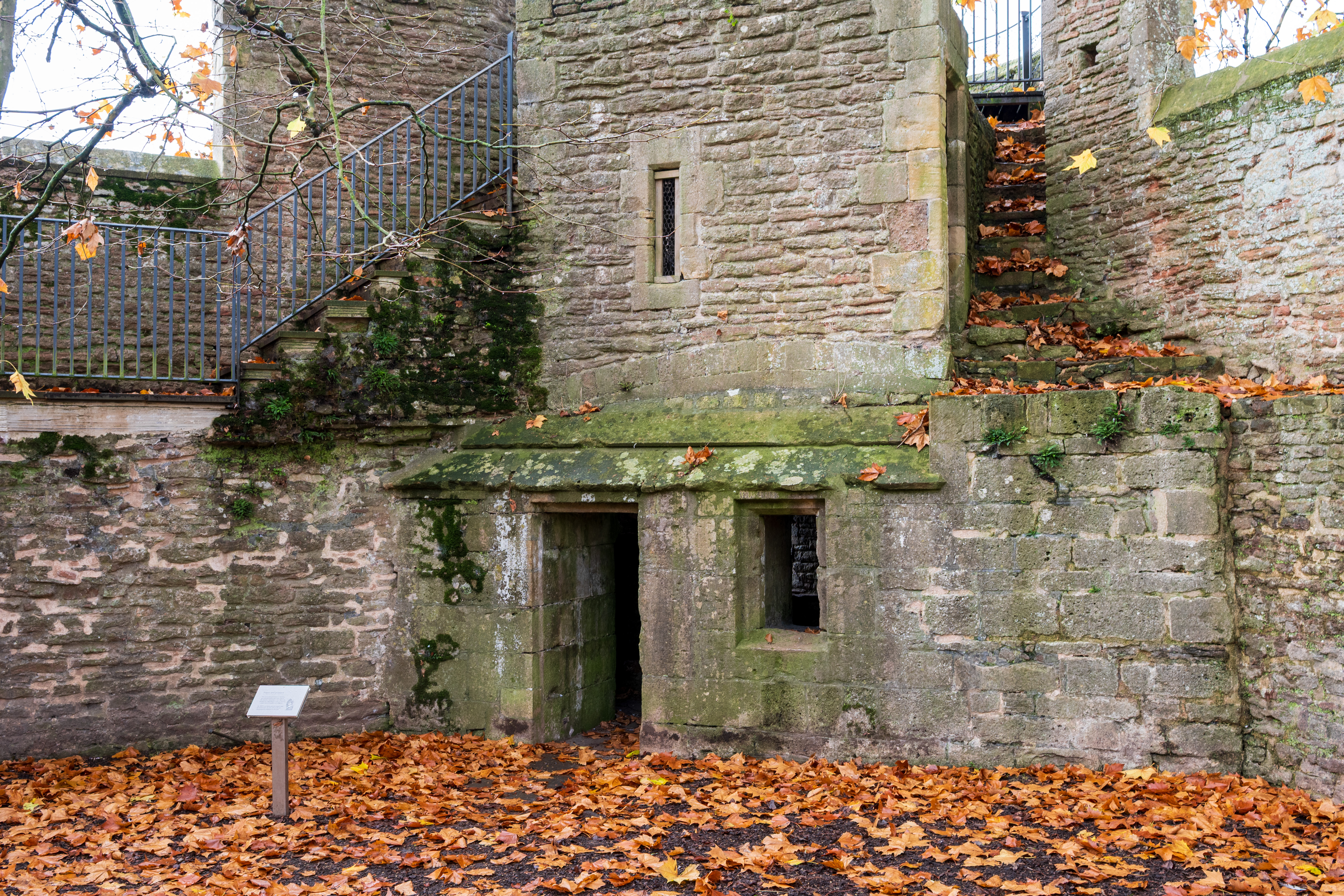 Nikon Z DX 16-50mm f/2.8 VR example shot