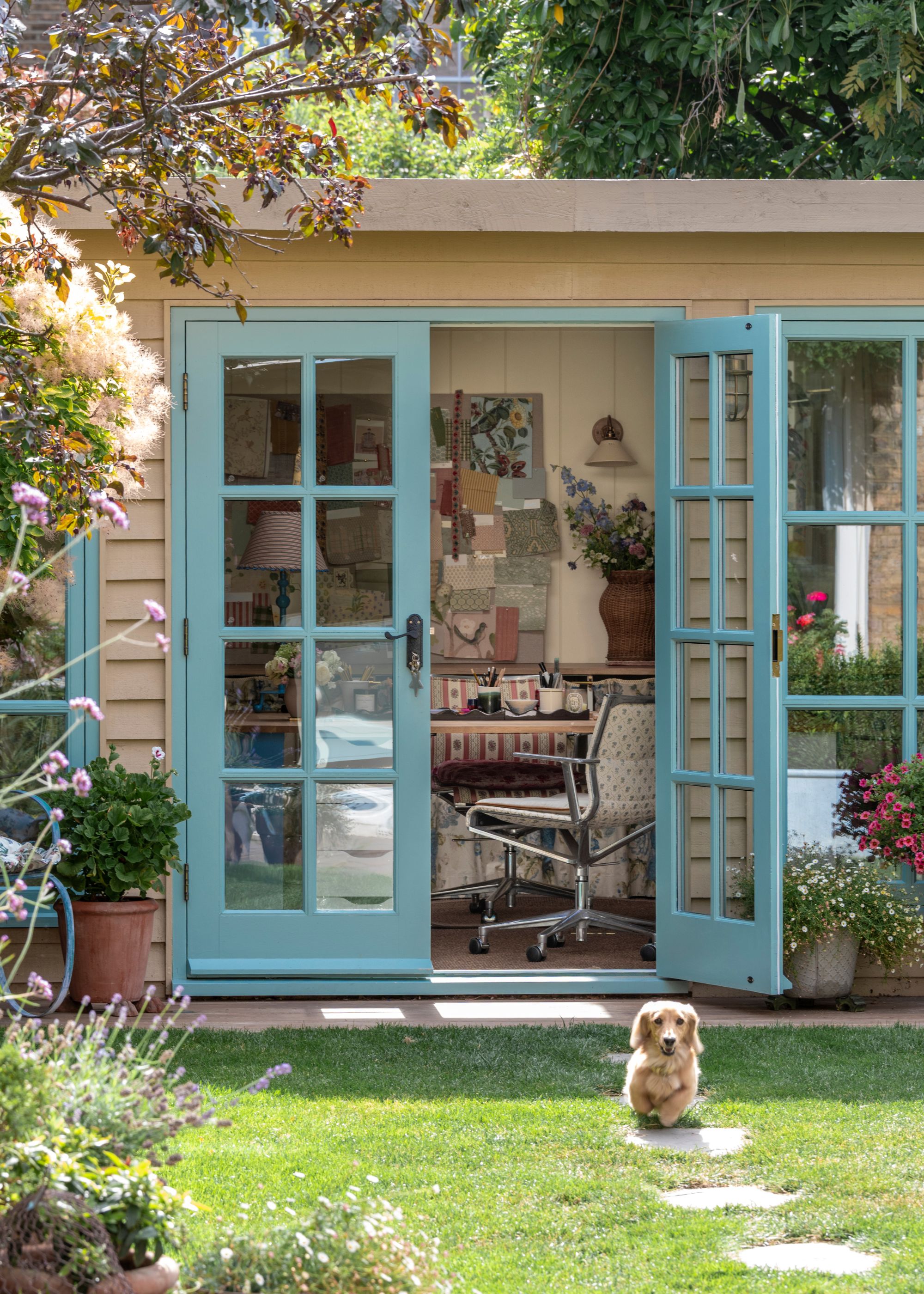 A garden home office room painted a warm taupe with blue-green windows and doorframes. A lush green lawn with plants at the perimeter and a small dog on the grass.