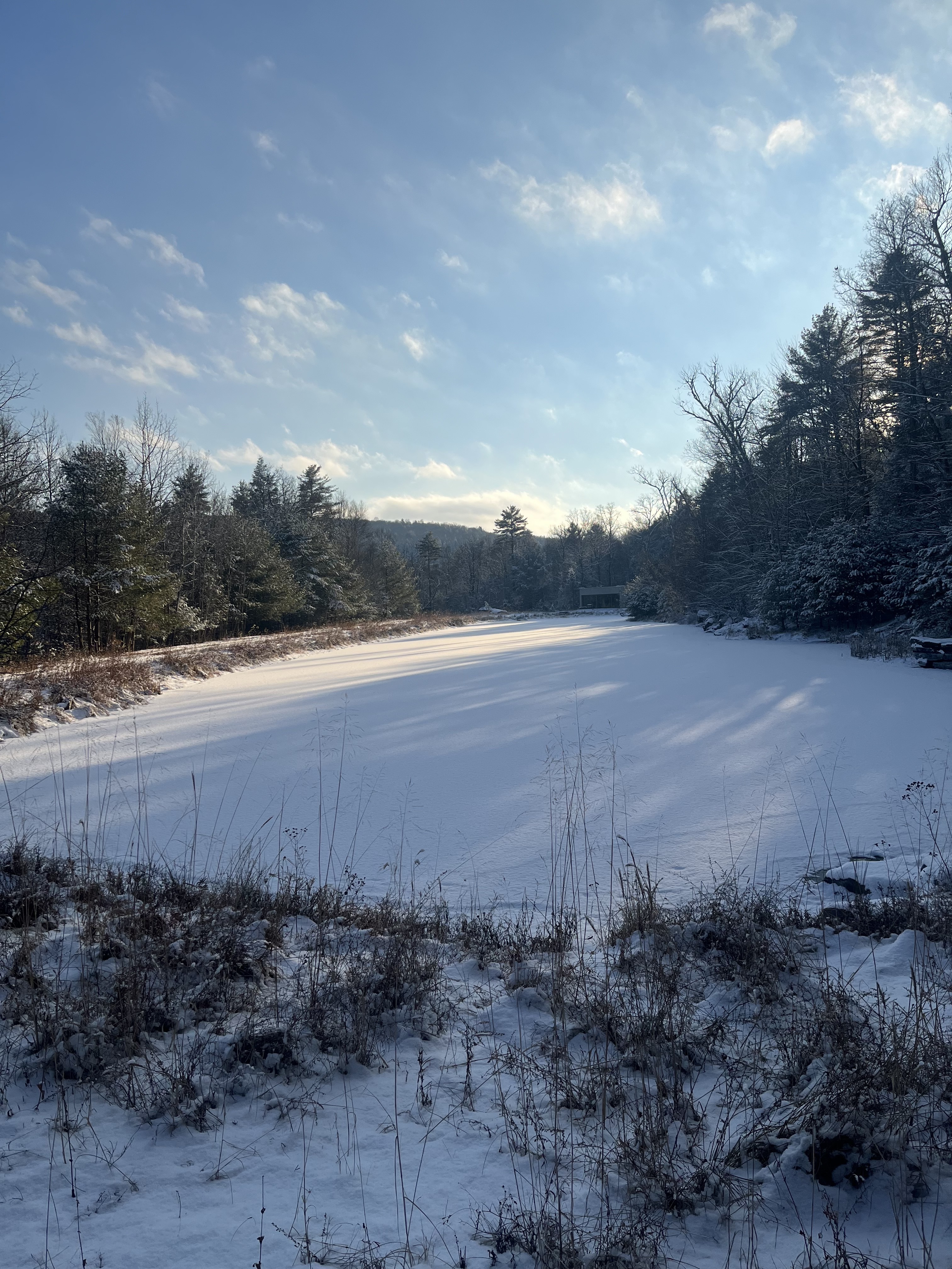 wallpaper editors picks of the week