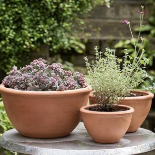 Terracotta plant bowls set of three on a garden table