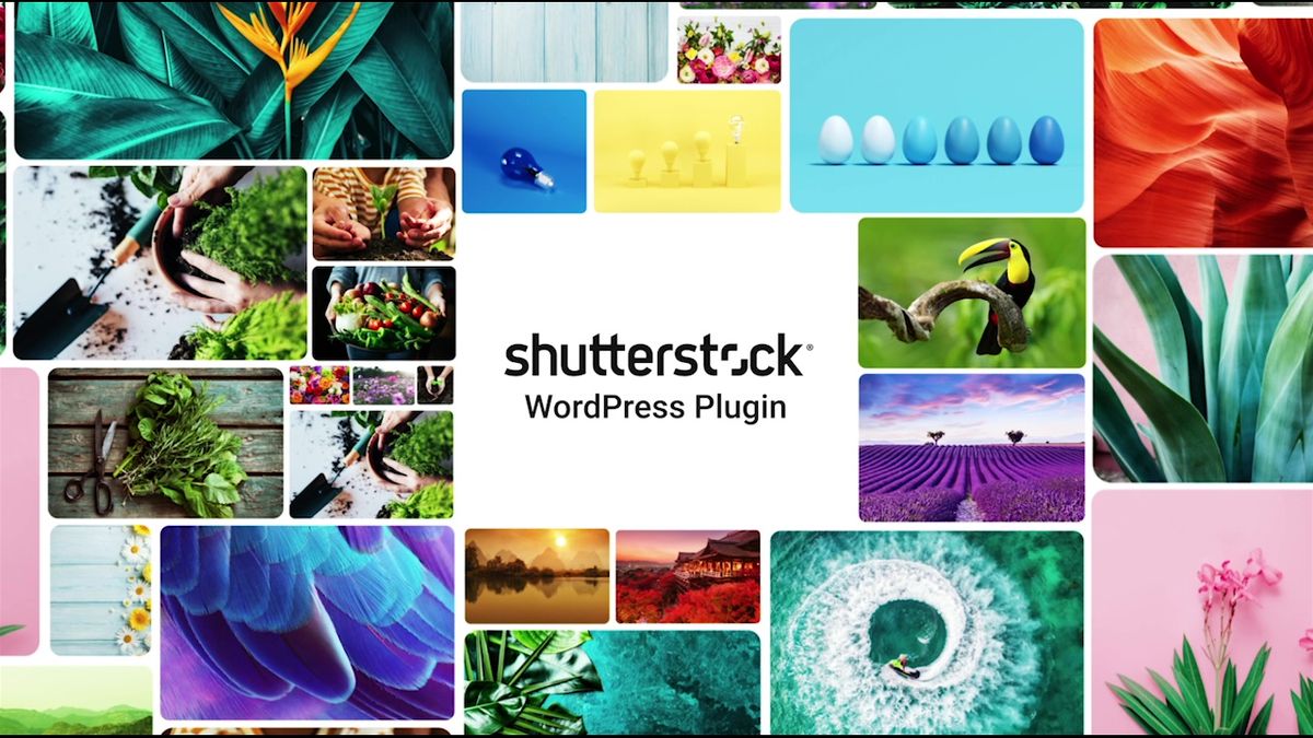 Shutterstock WordPress Plugin