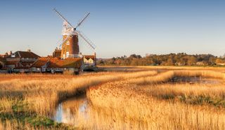 Cley-Next-the-Sea, Holt, UK. March 16, 2014. Image shows a windmill set among marshes in Norfolk. The long grasses are broken by a river tributary in which we also see a partial reflection of the windmill. The clear blue sky and warm colored grasses offer a warm scene useful for illustrating written articles about the countryside.