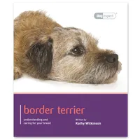 Border Terrier | Amazon