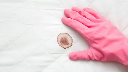 How to wash a mattress protector: mattress protector with blood stain and pink gloves on