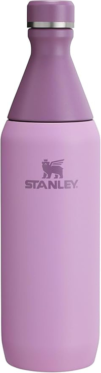 Stanley All Day Slim Bottle (20 oz)