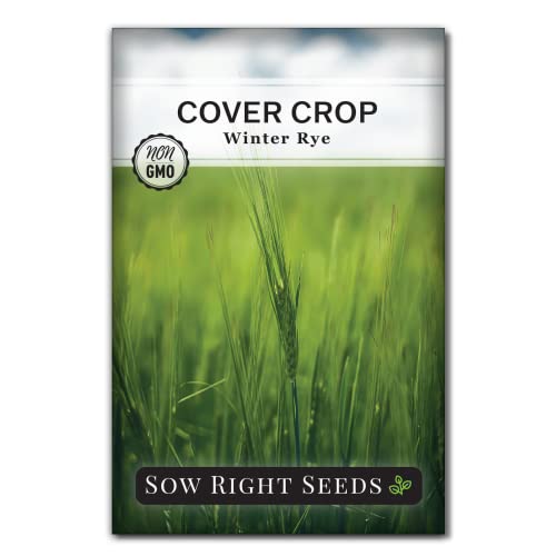 Sow Right Seeds - Winter Rye Seed for Planting Cover Crops Garden