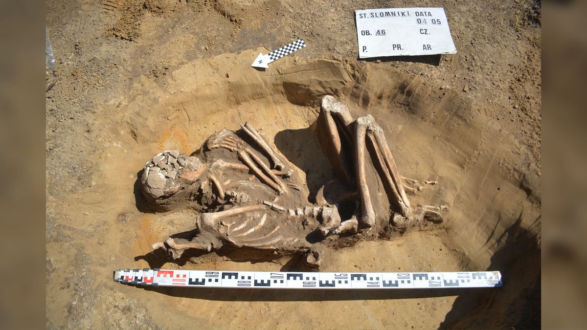 Doskonale zachowany szkielet sprzed 7 tysięcy lat odnaleziony podczas renowacji w Polsce