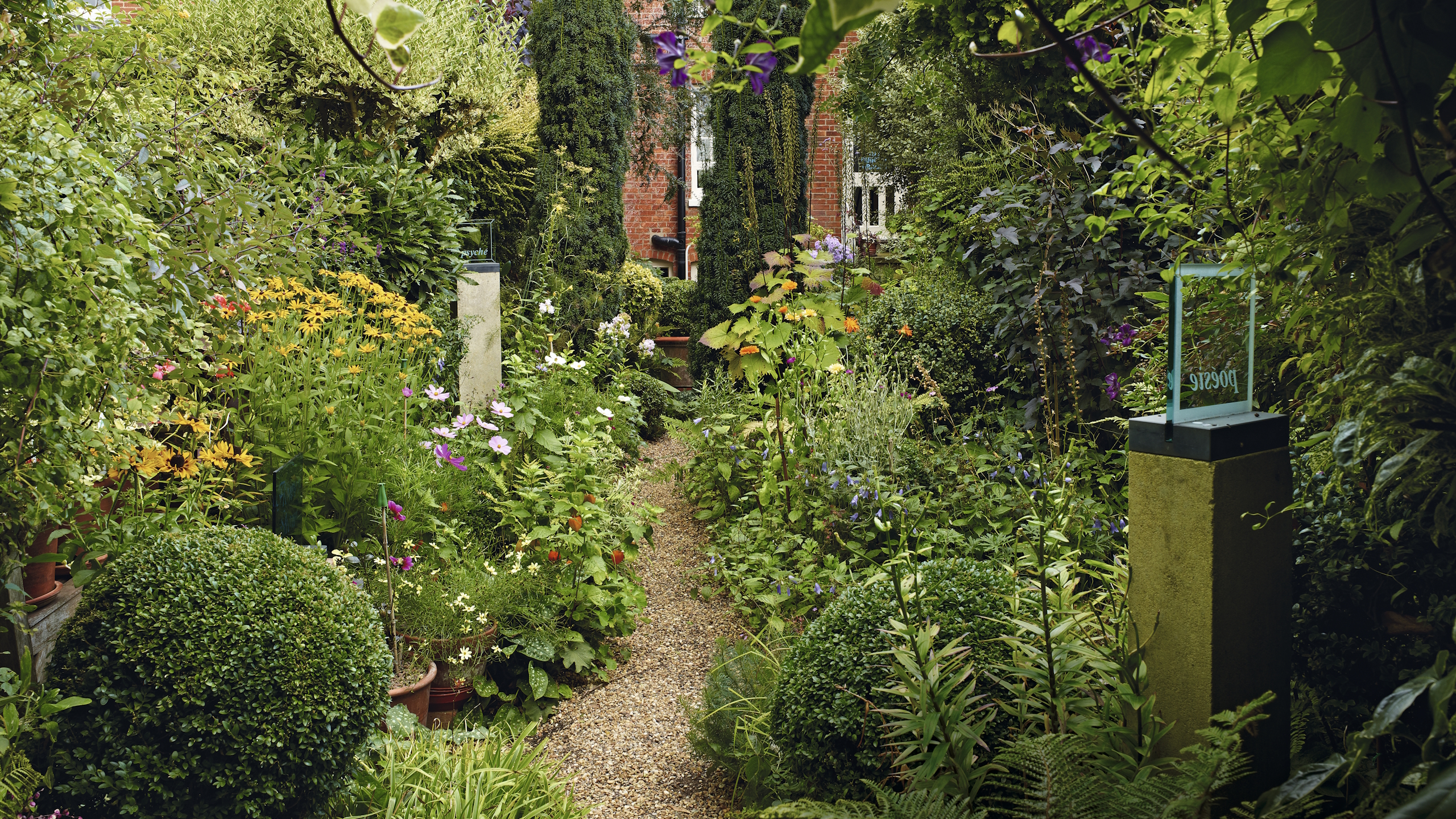 A town garden with packed flower borders either side of a gravel path