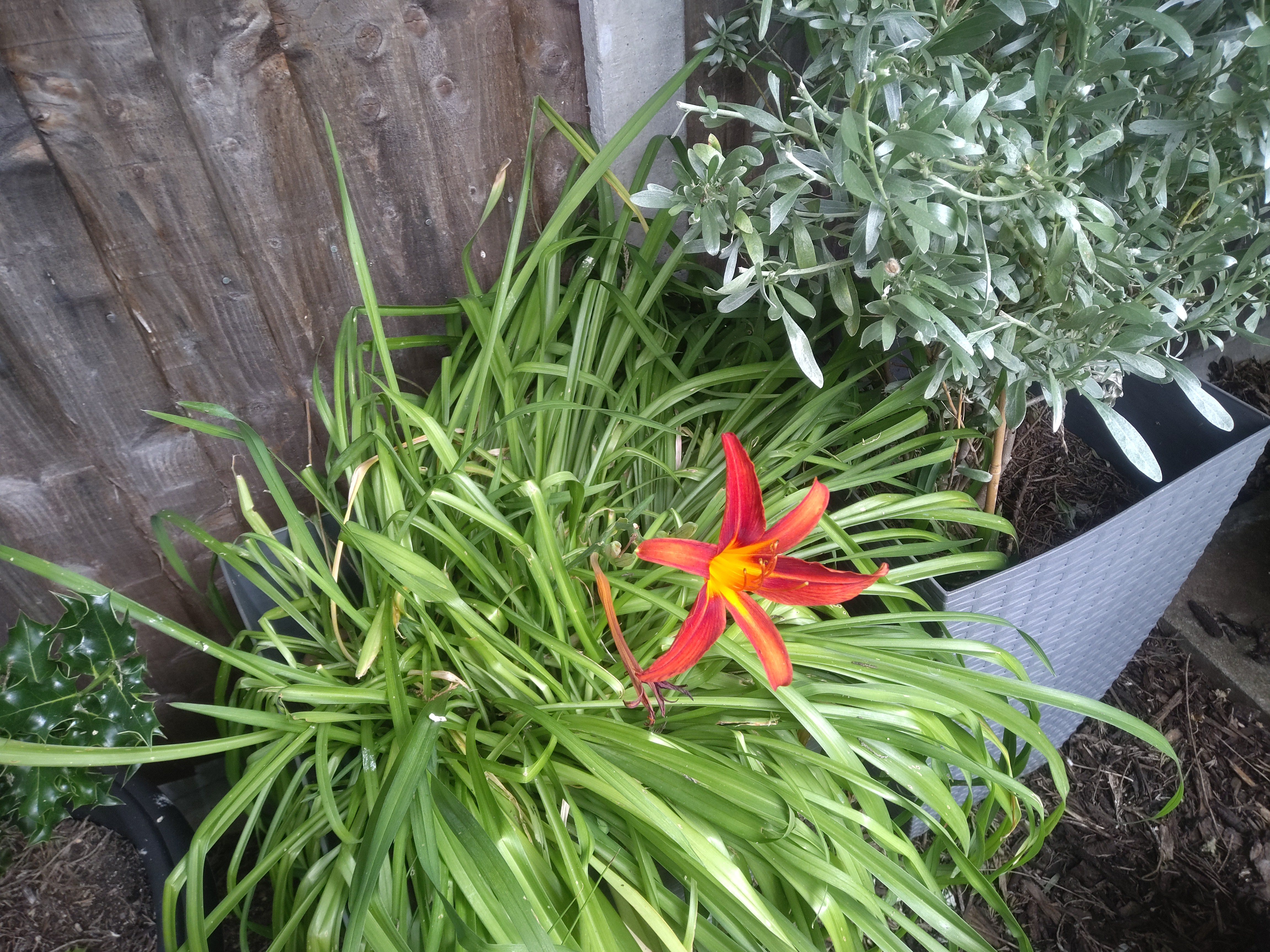 Getax ZX10 G2 camera examples