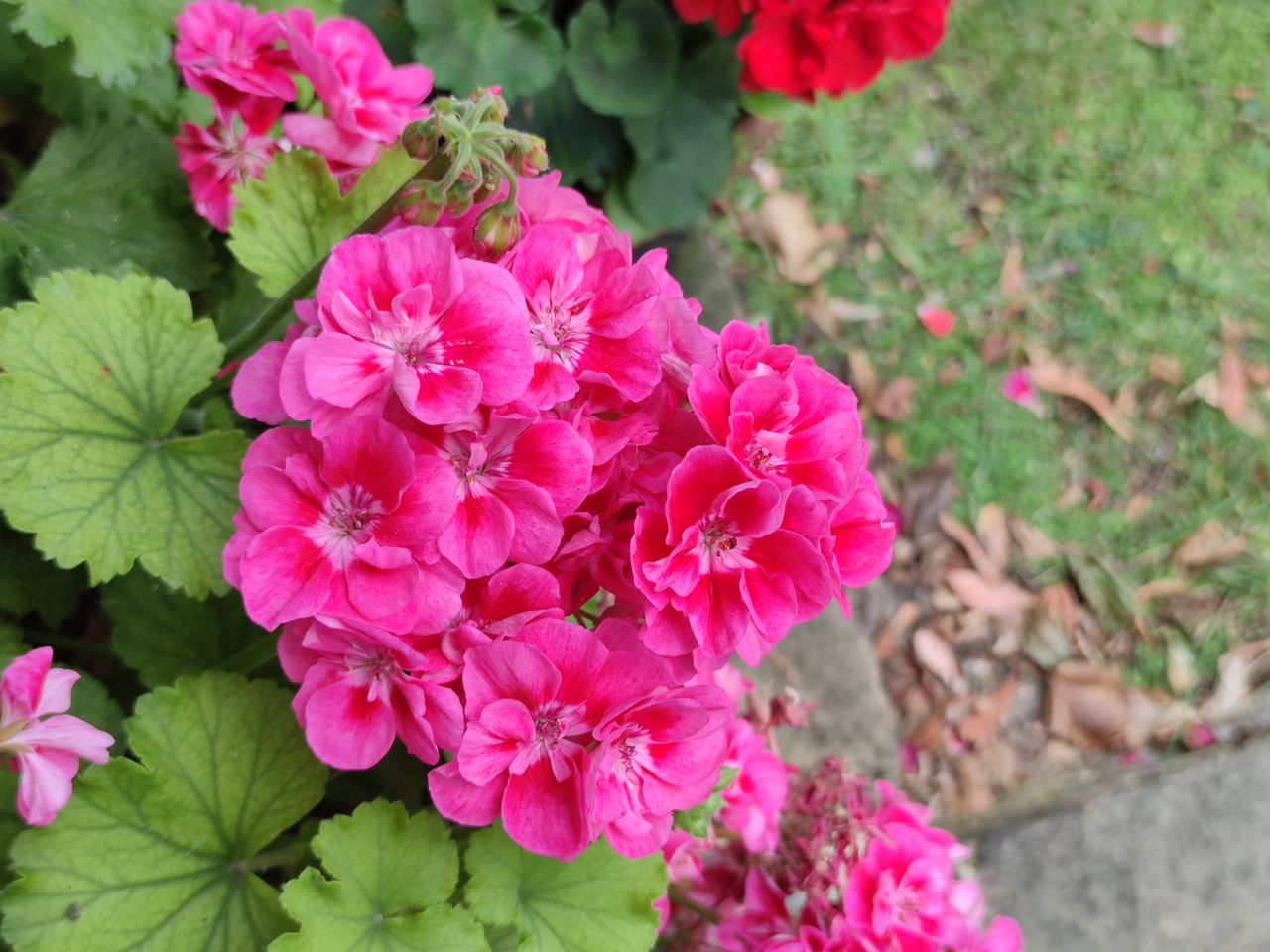 When shooting at 2x zoom in well-lit conditions the lack of optical zoom isn't too much of an issue.
