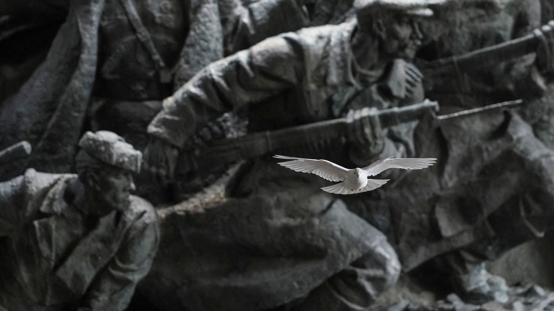 
                                A white pigeon soars in front of the bas-relief at the National Museum of the History of Ukraine in the Second World War in Kyiv
                            
