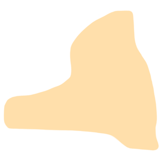 Nose, Yellow, Neck, Beige, Ear,