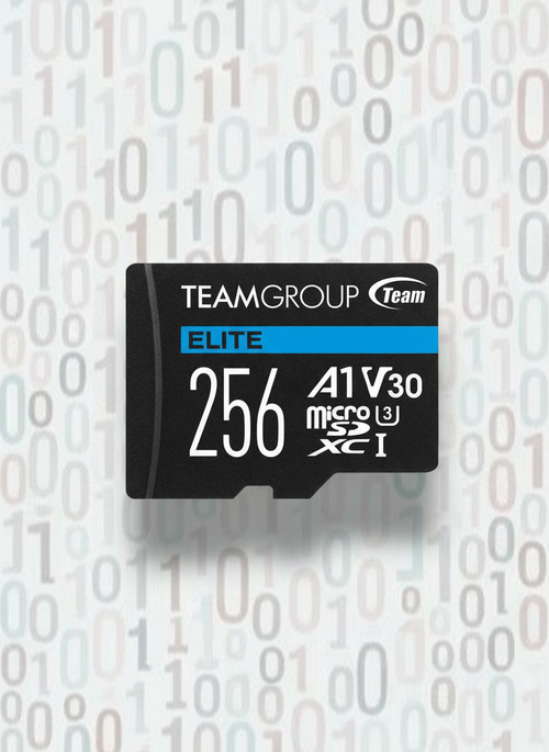 256GB Elite MicroSD card